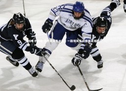 PG电子游戏-沙尔克风生水起，一路领风征战德国足球联赛