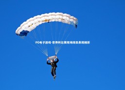 PG电子游戏-世界杯比赛现场球员表现精彩